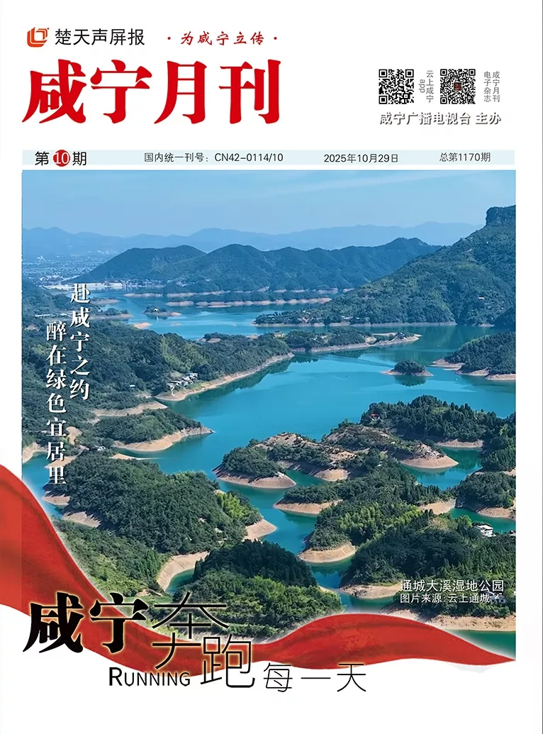 2025年第十期