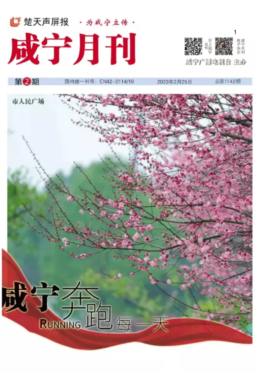 2023年第二期
