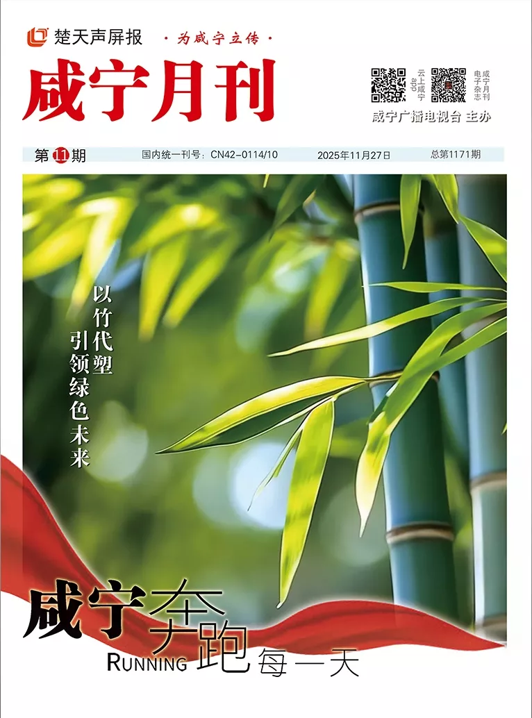 2025年第十一期