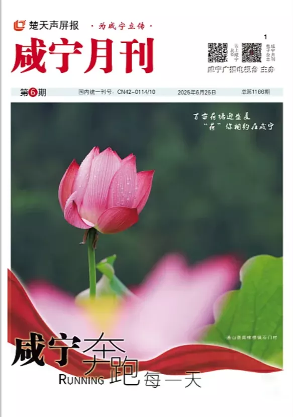 2025年第六期