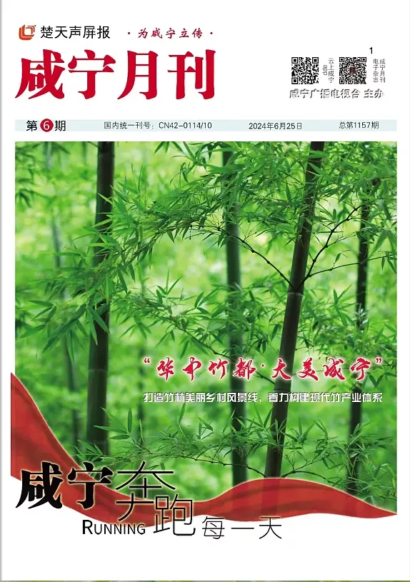 2024年第六期