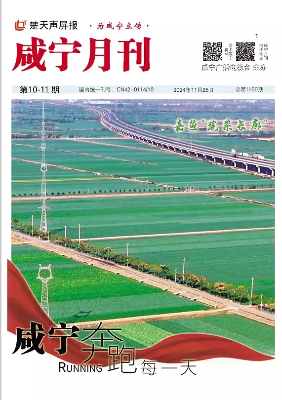 2024年第十、十一期